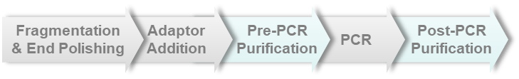 ngs dna fragmentation & library prep kit