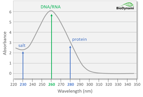 BioDynami DNA quantification Qubit vs Nanodrop