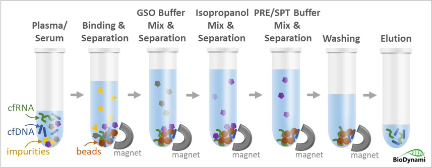 Cell-free DNA-RNA Extraction Plasma Serum